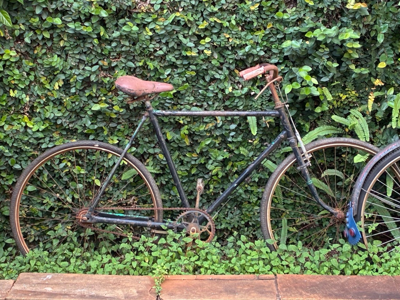 Bicicleta Antiga · Meados do Século XX (1950–1970) · Estado: Ruim