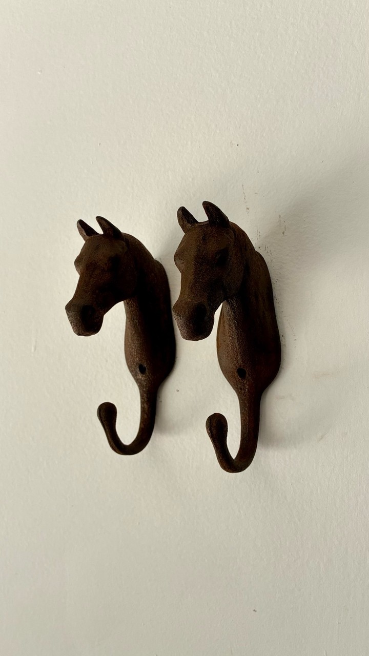Ganchos em formato de Cabeça de Cavalo em ferro fundido · Início Século XX (1900–1940) · Estado: Regular